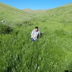 behrooz nemati - @behrooz.nemat - Instagram