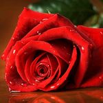 Behrooz_nouri - @behruz.nouri.1355 - Instagram