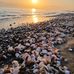 Behrouz Amini - Facebook