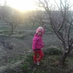 behrouznemati - @behrouznemati.7.9762 - Instagram