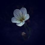 Behrouz Rostami - @behrouz.rostami007 - Instagram