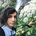 Behzad Emami - @beh_____zad2024 - Instagram