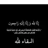 بهزاد غازي - @behzadghazi - TikTok