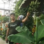 behzad ghazi - @behzadghazi5 - Instagram