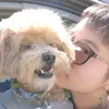Bei  Chang - @bei.chang - TikTok