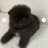 SB - @sharon.beigan - TikTok