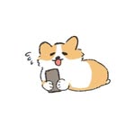 Beiqin Zeng - @beiqinzeng - Instagram
