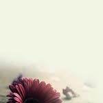 張貝青 - @beiqingzhang - Instagram