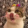 Being_Tsai - @Being_Tsai - TikTok