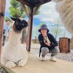 Bei Young - @bei_young - Instagram