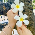 Beibei Dai - Facebook
