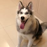 林貝貝 - @bei_bei_lin - Instagram