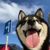 Beibei_Lin - @beibei_lin - TikTok