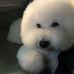 Beibei Lin - Facebook