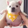 Beibei Sun - @beibei.sun15 - TikTok