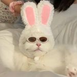 Bei bei - @beibei___wang - Instagram