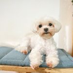 Beibei Wang - @beibei.wang.cute - Instagram