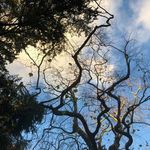 Beibei Wang - @nihouzi123 - Instagram
