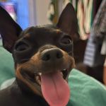 Beibei Wang - @beibei.wang.1217 - Instagram