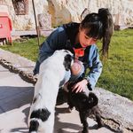 徐贝贝 - @beibei_xu12 - Instagram