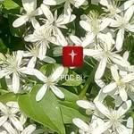 Bejoy Mathew - @bejoy.1857 - Instagram