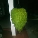 Bejoy Mathew - @bejoy.mathew.7927 - Instagram
