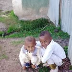 Bekele Muleta - @bekele_muleta - Instagram