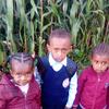Bekele Muleta - @bekelemuleta287 - TikTok