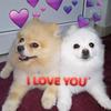 BELLA _SALAMON - @bella_salamon - TikTok