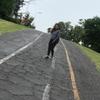 Belen Chavez - @belchavez97 - TikTok