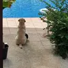 Belen Galan Cortes - @belen.galan.corte - TikTok