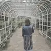 Levy D. Belen - @levyd.belen - TikTok
