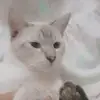 belen manuel - @belenmanuel0 - TikTok