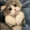 Deli567080 - @belenmorgan112 - TikTok