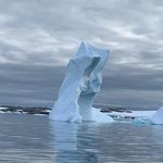 Belinda Beardsell - @belindabeardsell - Instagram