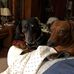 Belinda Brooks - Facebook