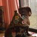 Belinda Mackey - Facebook