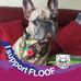 Belinda Patrick - Facebook