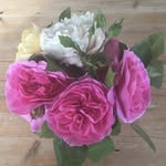 Belinda Wright - @belinda.wright64 - Instagram