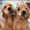 Belisa Silva - @belisasilva3 - TikTok