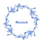 Blue Bell - @bell.blue7890 - Instagram