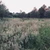 bella.ann - @bella.annxx - TikTok