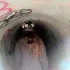 Bella Augustyn - @bellaaugustyn - TikTok