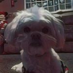 Bella.August.Rose - @bella.august.rose - Instagram