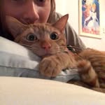 Bella Ballard - @bella_sammy10 - Instagram