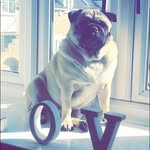 🖤Bella_Barlow🖤 - @isabellabarlow06 - Instagram