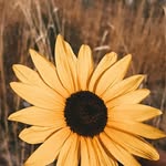 Bella - @bella_barlow_photography - Instagram