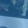 𝓑𝓮𝓵𝓵𝓪 𝓑𝓪𝓻𝓻𝓮𝓻𝓪 - @bell.luvs.uu67 - TikTok
