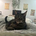 Bella Bates - Facebook