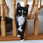 Bella Bean - @bellabean421 - Instagram